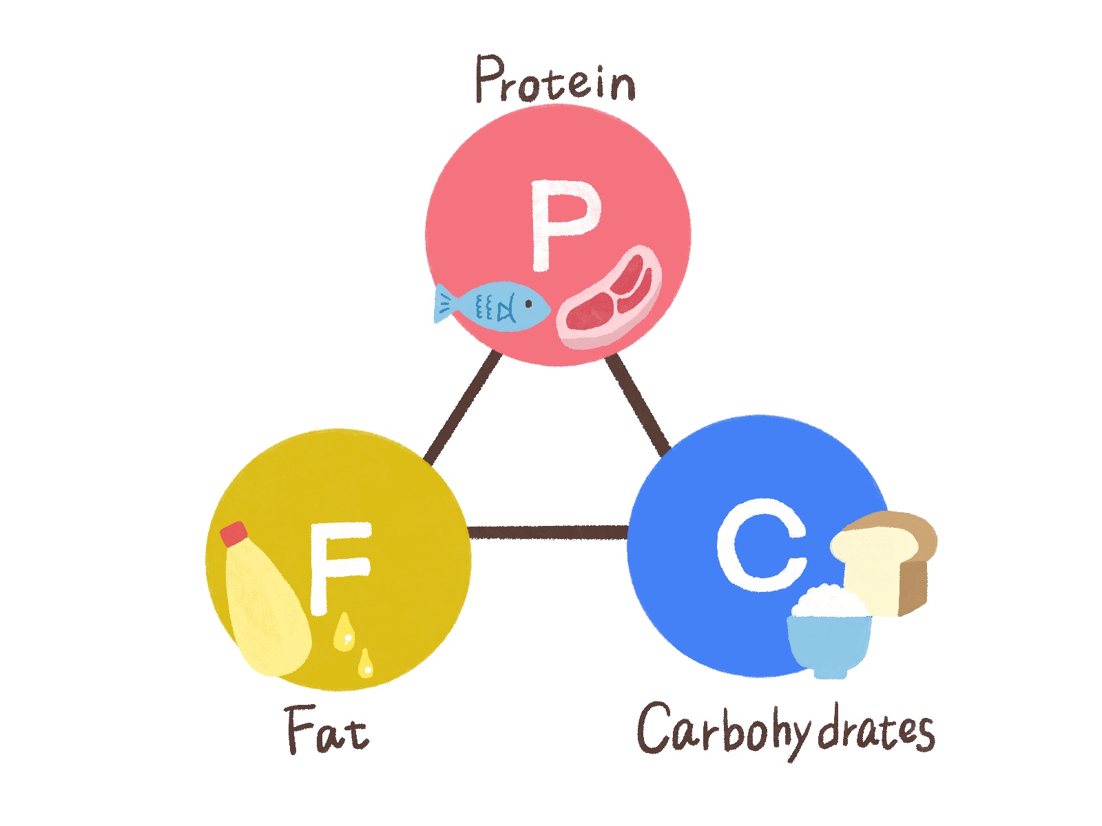 PFCバランスを端的に表した絵