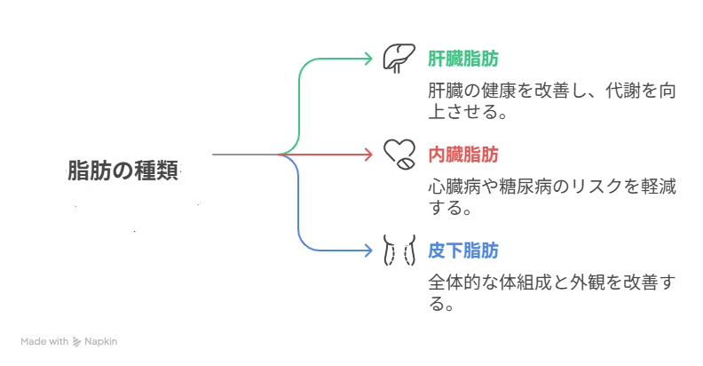 脂肪の種類とそれぞれの役割を端的に表した図