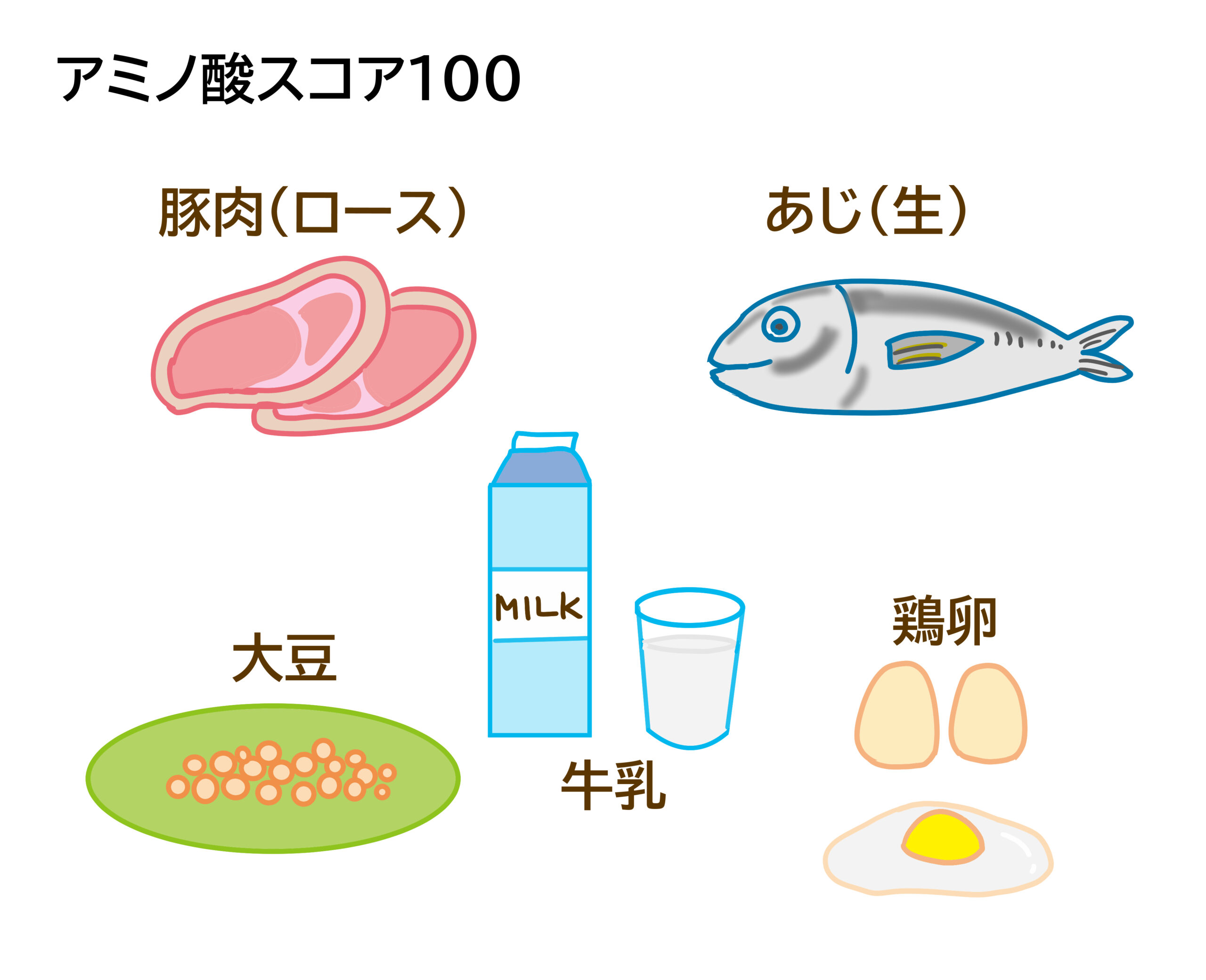 アミノ酸スコア100の食品群